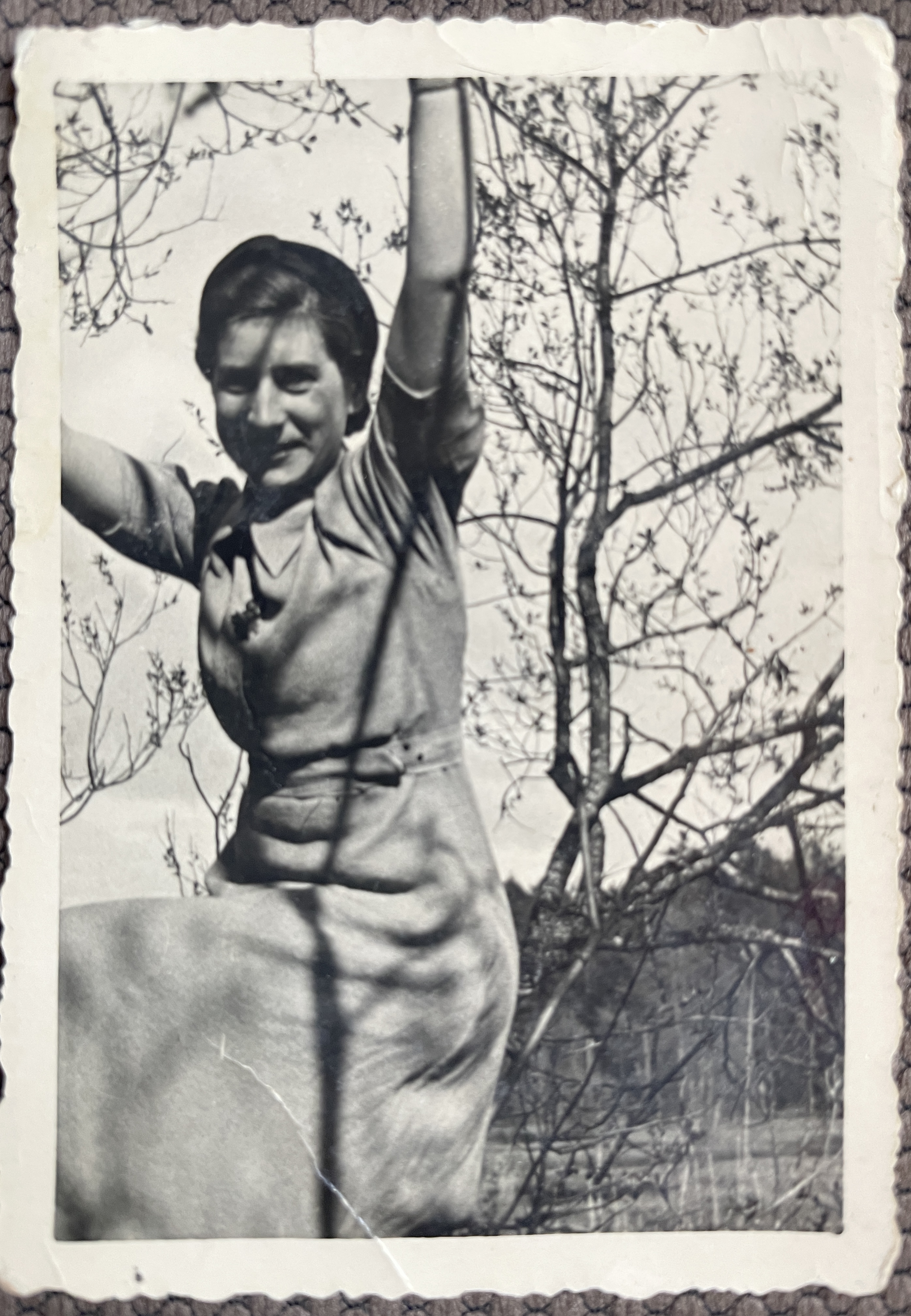 Hilda puu otsas